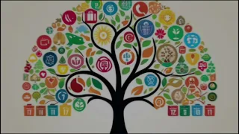 "The 17 Sustainable Development Goals Explained"